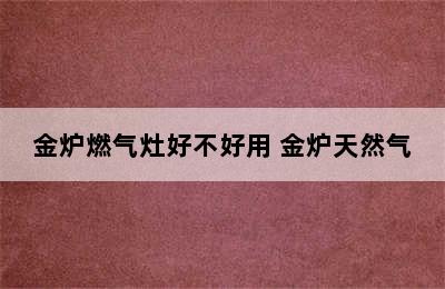 金炉燃气灶好不好用 金炉天然气